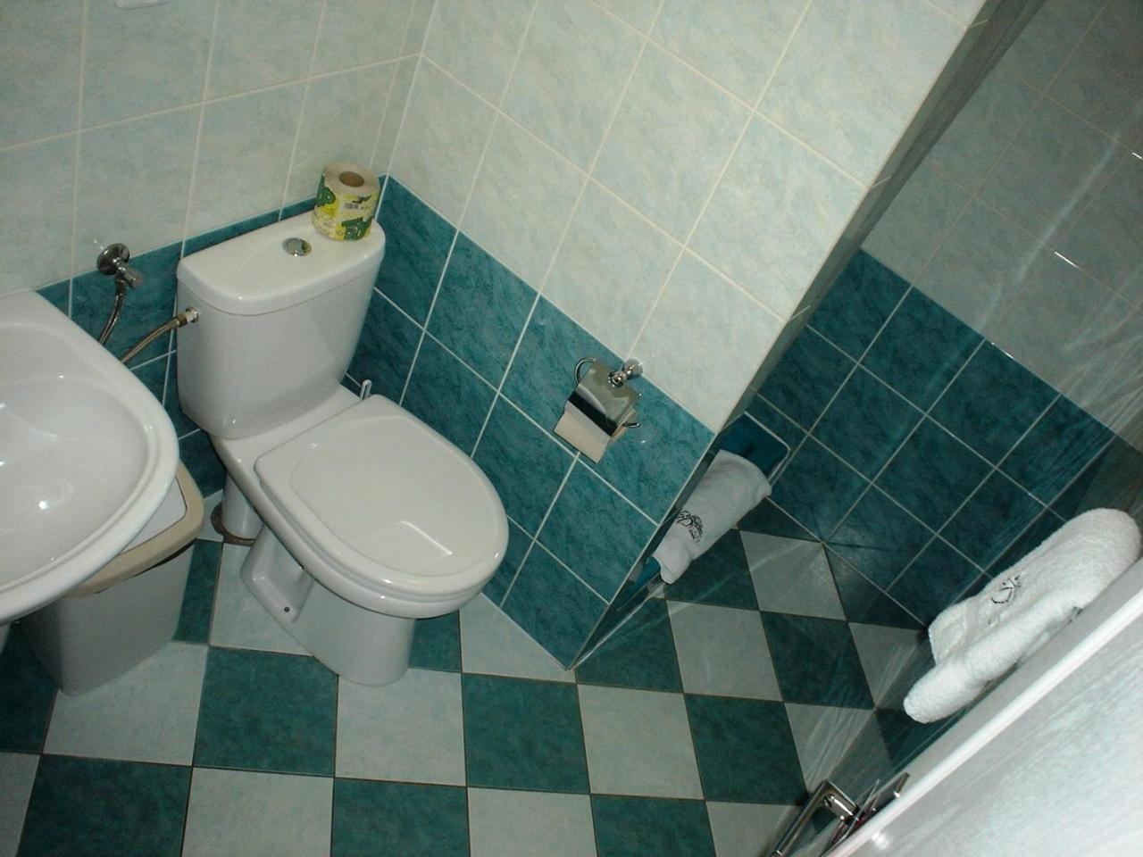 Pension Schaumannuv Dvur Karlovice  Quarto foto